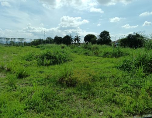 PHOTO-2024-12-31-11-33-26