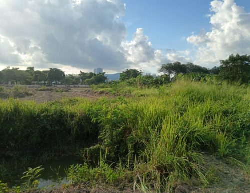 PHOTO-2024-12-31-15-08-22