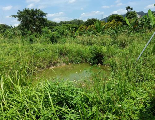 PHOTO-2024-12-31-15-08-22(1)