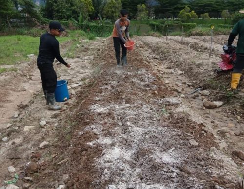 PHOTO-2024-12-31-15-12-32(2)