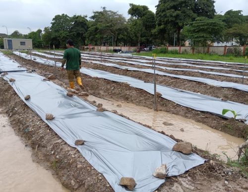 PHOTO-2024-12-31-15-12-35(1)