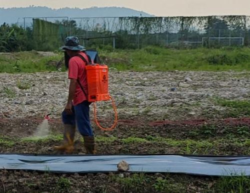 PHOTO-2024-12-31-15-12-40