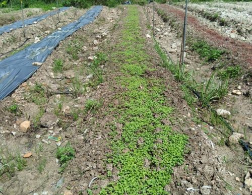 PHOTO-2024-12-31-15-13-17(1)