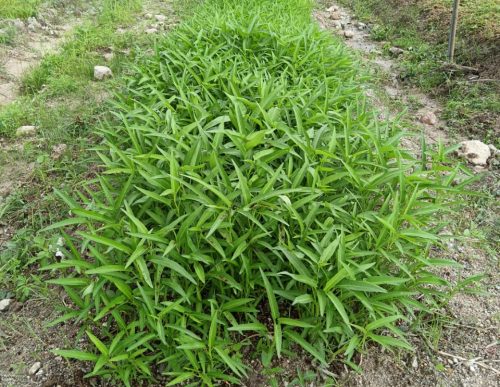 PHOTO-2024-12-31-15-14-33