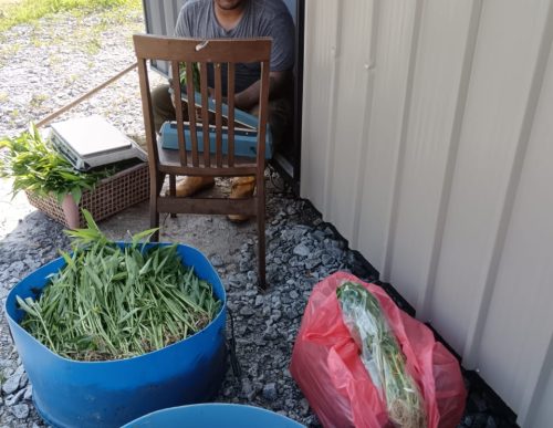 PHOTO-2025-01-08-09-47-59