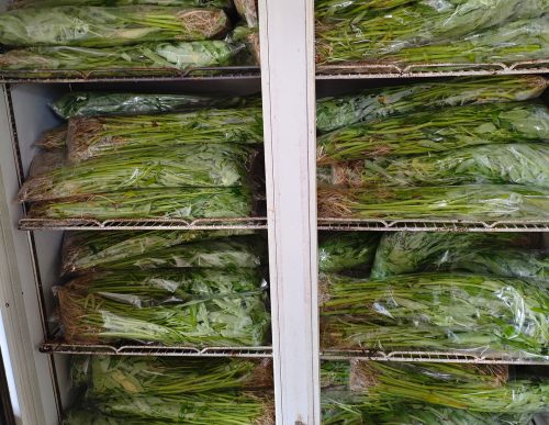 PHOTO-2025-01-08-15-28-37