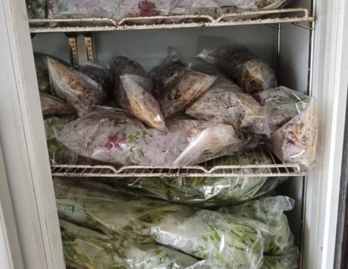 PHOTO-2025-01-11-14-49-46